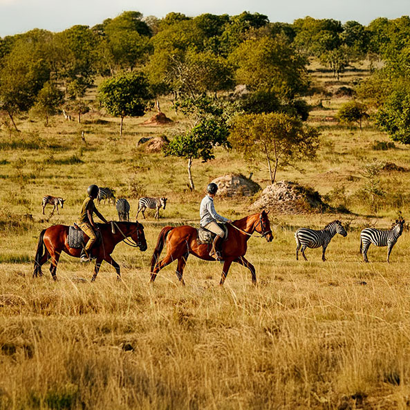 lake-mburo-horse-riding