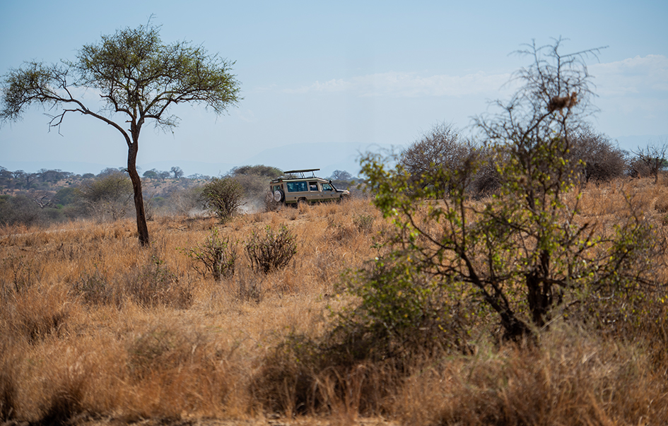 lake-naivasha-How-to-Get-There