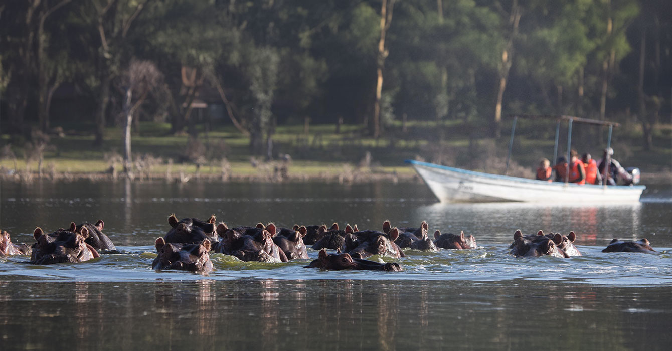 lake-naivasha-top-img