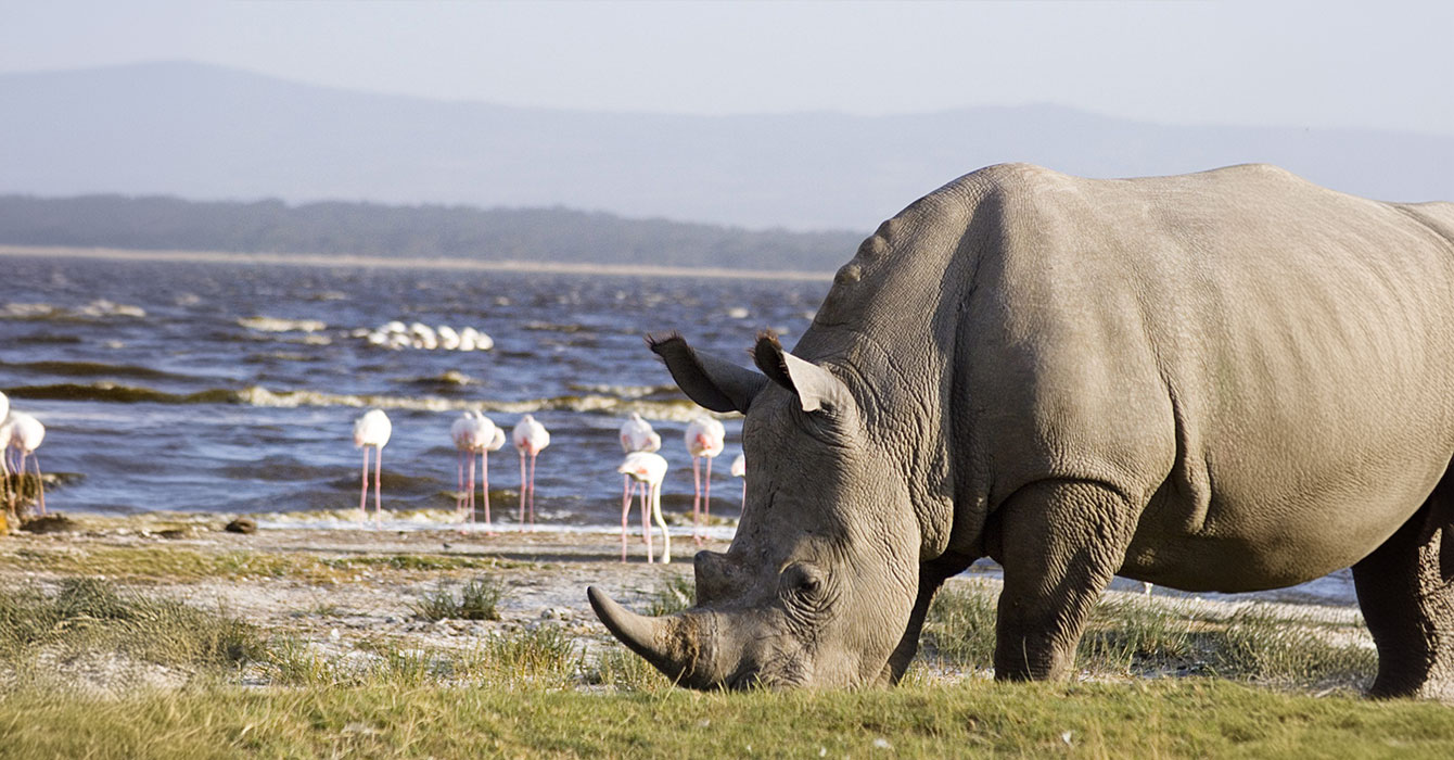 lake-nakuru-national-park-top-img