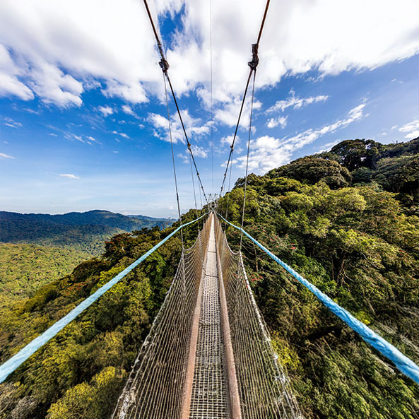 nyungwe-canopy-walk