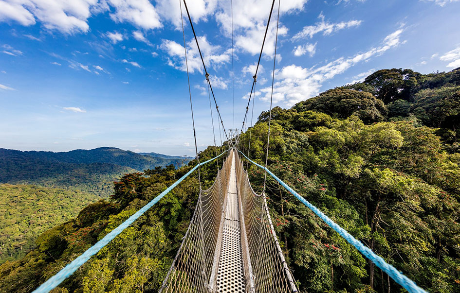 nyungwe-forest-national-park-Areas-Activities