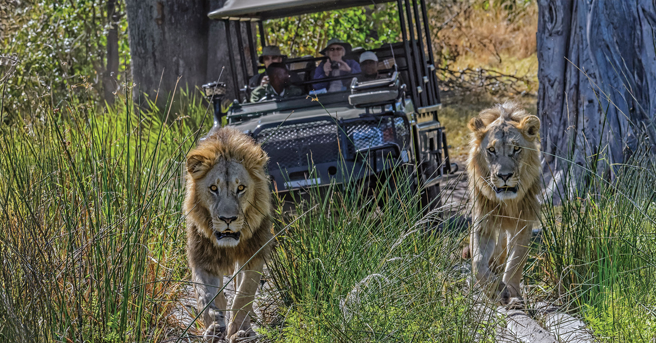 okavango-delta-top-img