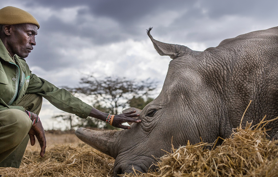 ol-pejeta-conservancy-When-to-Visit