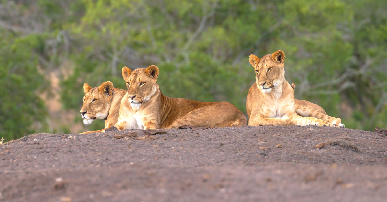 ol-pejeta-conservancy-top-img