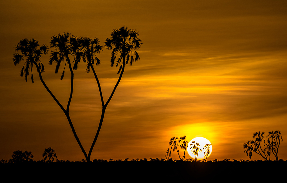 samburu-national-reserve-When-to-Visit