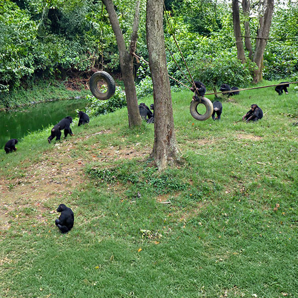 uganda-wildlife-education-centre