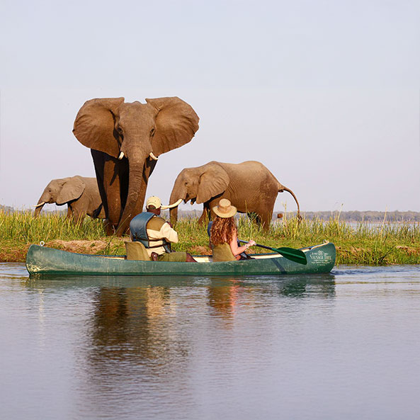 upper-zambezi-canoeing-experience