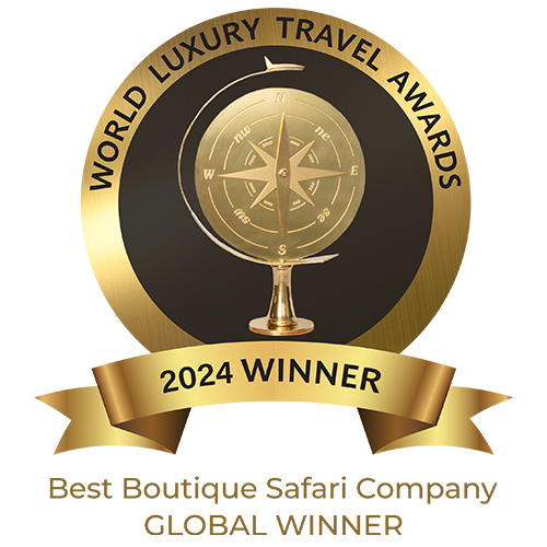 2024 travel winner best