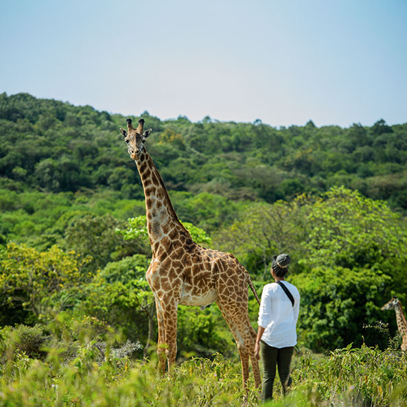 arusha-national-park-day-trip-game-drive-walking-safari