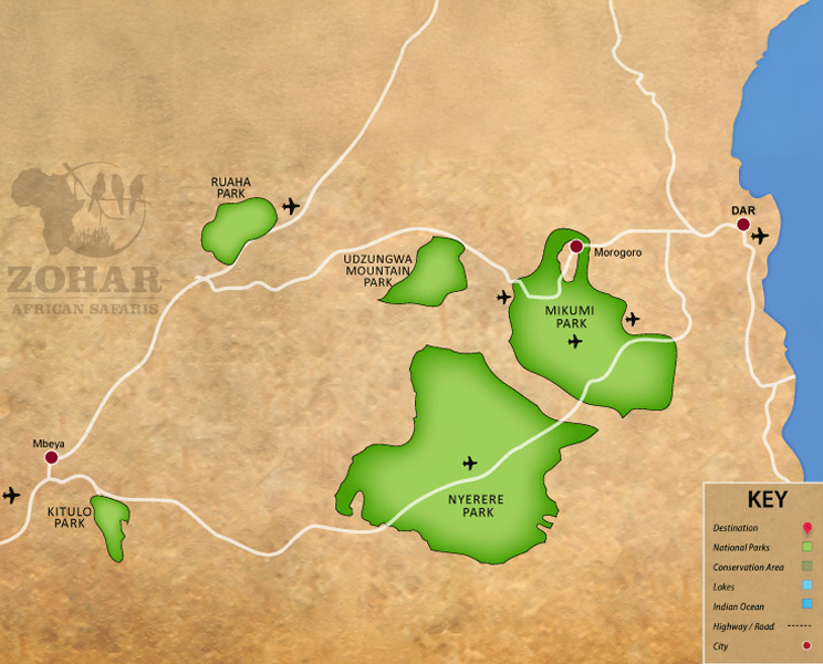 southern-circuit