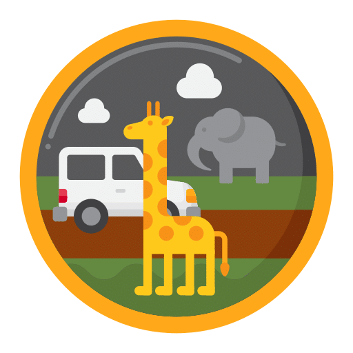 safari icon