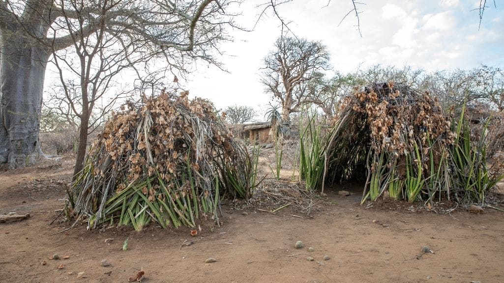 Two hadzabe homes from outside