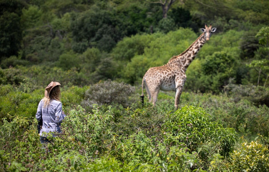 tanzania honeymoon ultra luxury safari 8 days