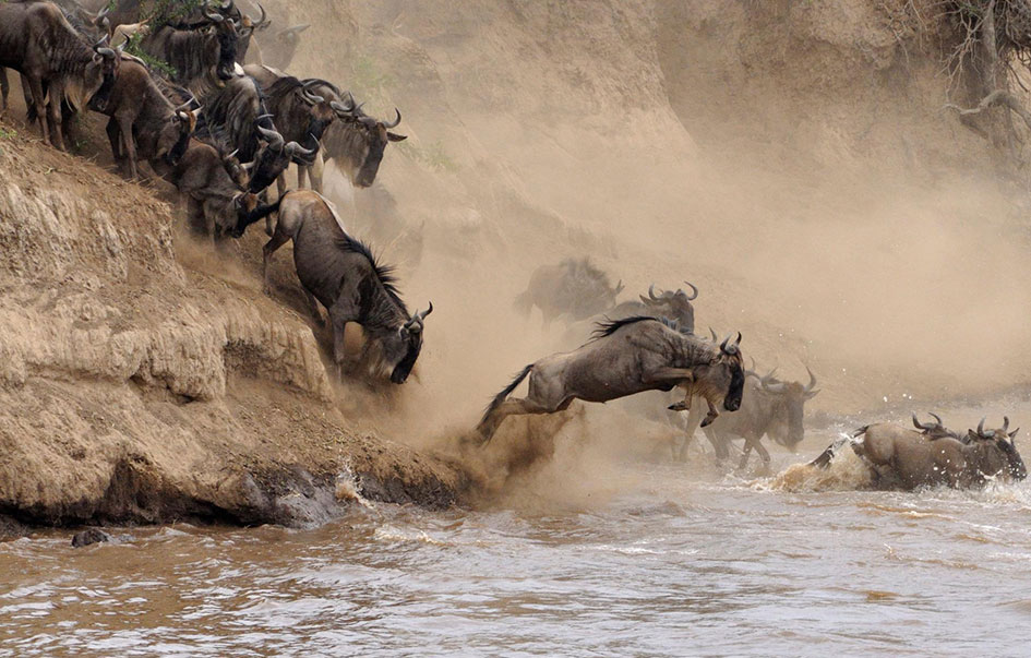 tanzania honeymoon ultra luxury safari 8 days 6 7