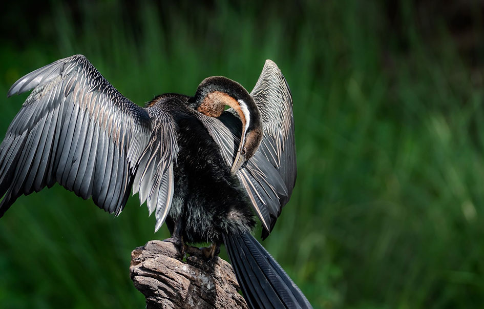 best of the south fly safari 6 days 4 img
