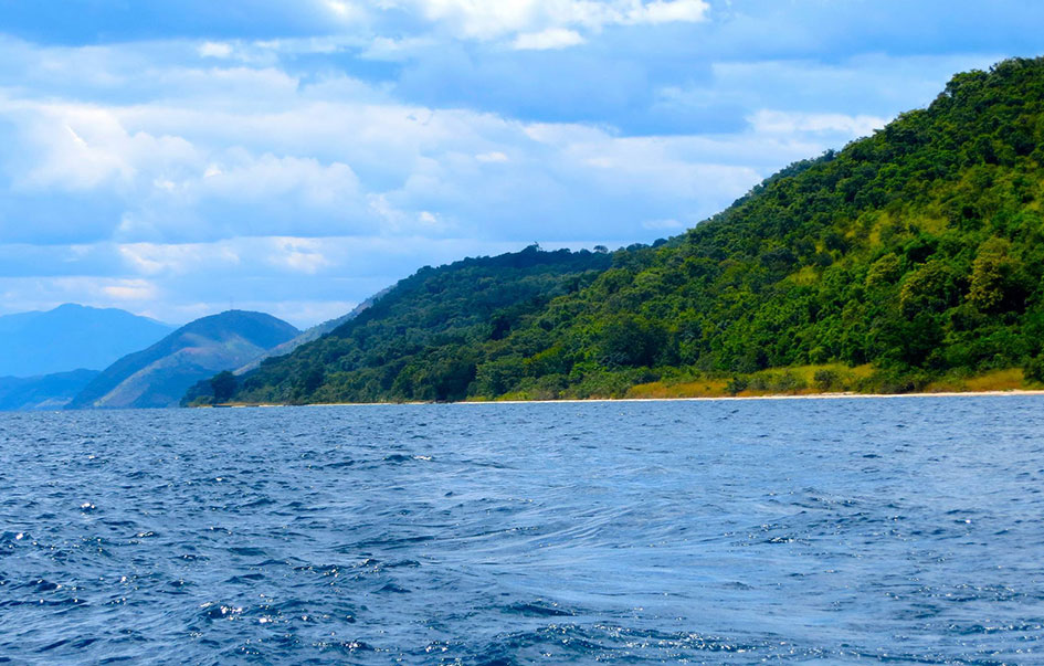 chimpanzee trek 5 days 2 img