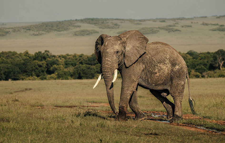 kenya hidden treasures fly safari 8 days 2 img