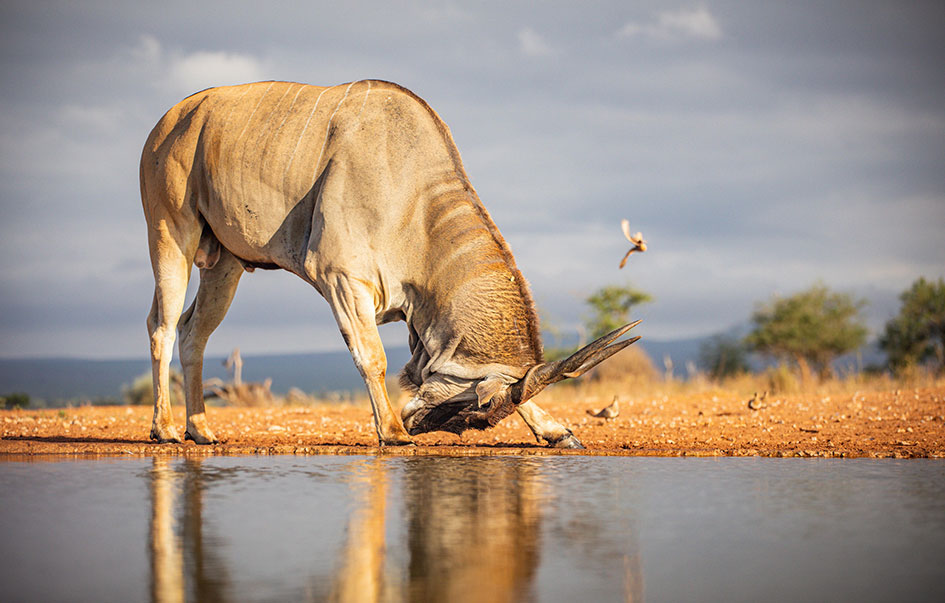 kenya hidden treasures fly safari 8 days 5 img