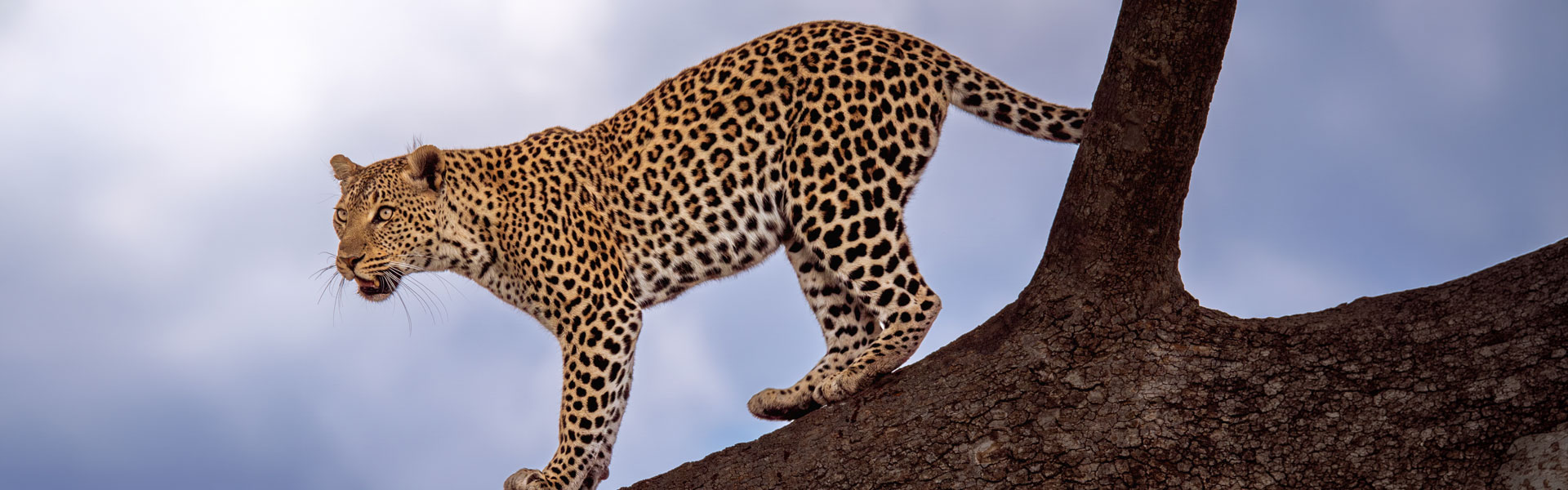 kenya hidden treasures fly safari 8 days banner img
