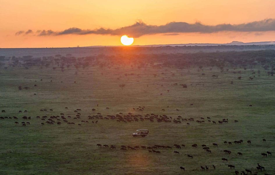 migration calving season more 11 days 11 img