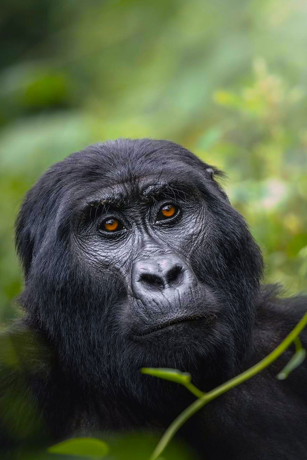 rwanda