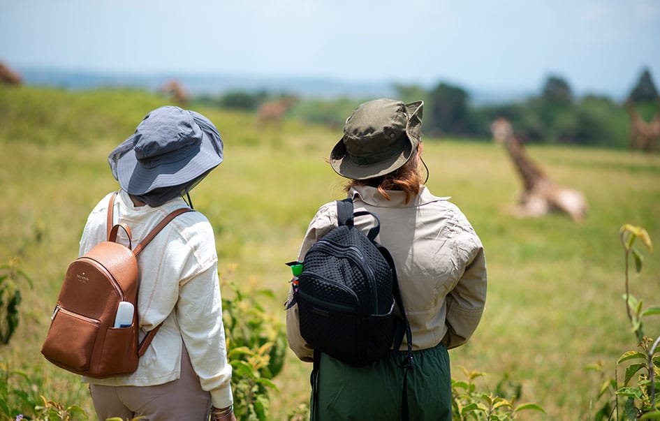 the ultimate great migration safari 9 days 5