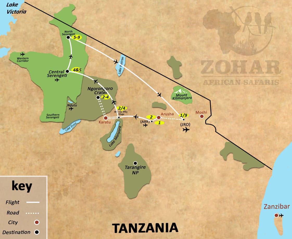 the ultimate great migration safari 9 days