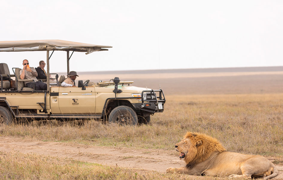 the ultimate kenya safari 10 days 7 img
