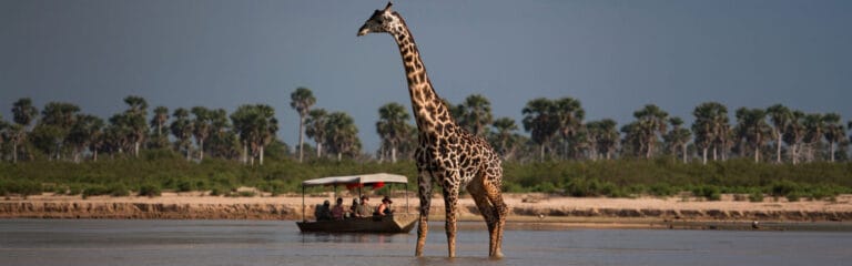 the ultimate kenya safari 10 days banner img