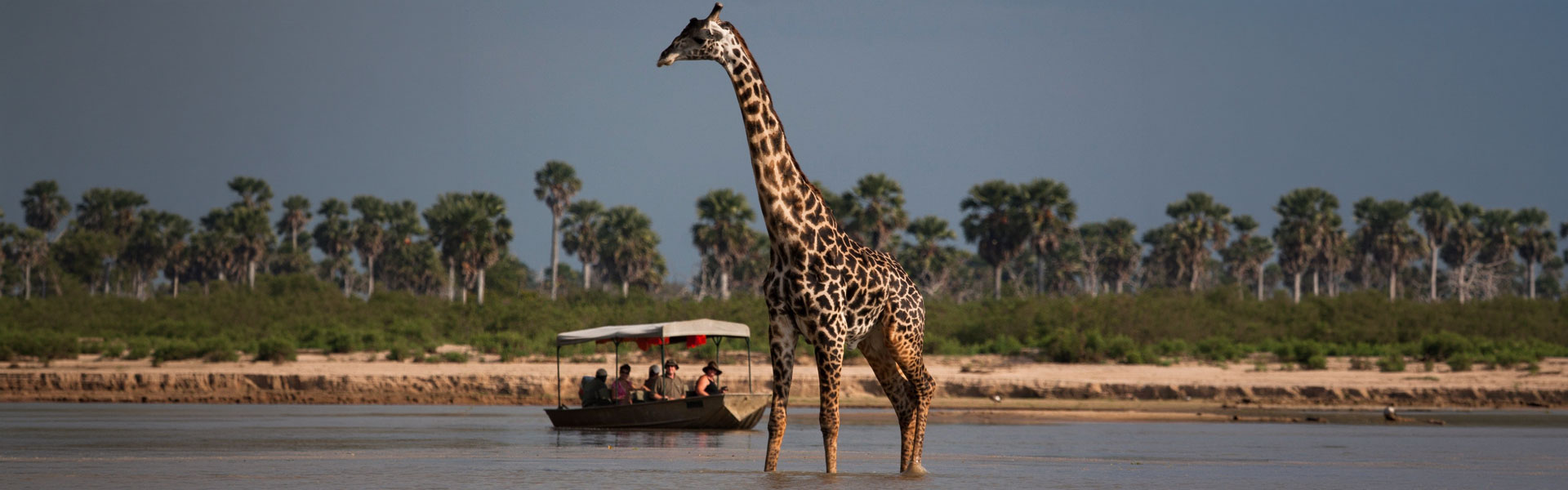 the ultimate kenya safari 10 days banner img