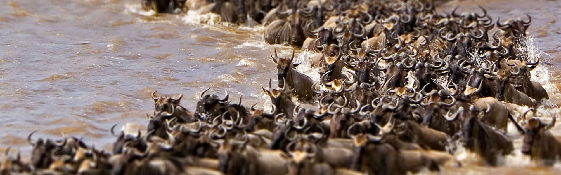 victoria falls gorillas great migration 17 days