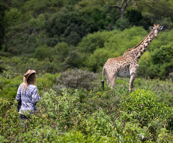 Walking Safaris